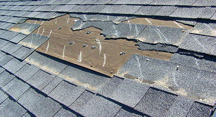  Roofing Services Bucksport, SC