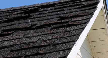  Professional Roofing Bucksport, SC